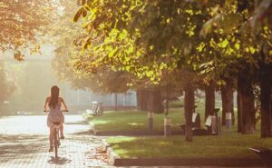 WhatsApp Image 2024-09-27 at 160329 - Menu Alphaville